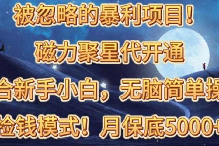 被忽略的暴利项目！磁力聚星代开通捡钱模式，轻松月入五六千网创吧-网创项目资源站-副业项目-创业项目-搞钱项目网创吧