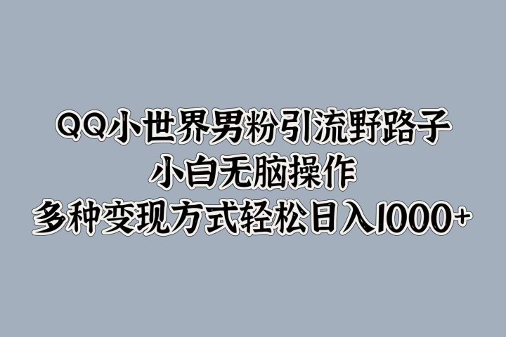 QQ小世界男粉引流野路子，小白无脑操作，多种变现方式轻松日入1000+网创吧-网创项目资源站-副业项目-创业项目-搞钱项目网创吧