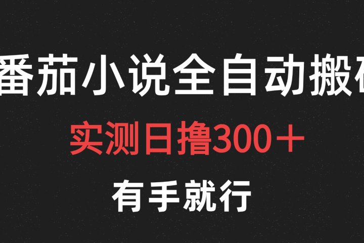 最新番茄小说挂机搬砖，日撸300＋！有手就行，可矩阵放大网创吧-网创项目资源站-副业项目-创业项目-搞钱项目网创吧