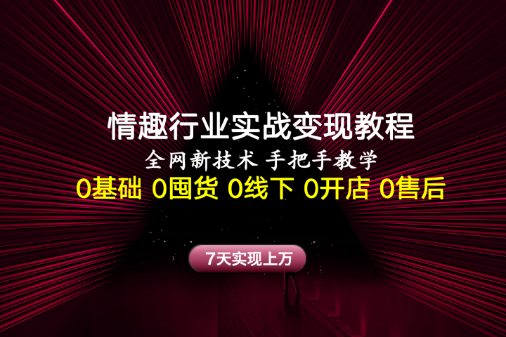 情趣行业实战变现教程，全网新技术，手把手教学，7天实现上万网创吧-网创项目资源站-副业项目-创业项目-搞钱项目网创吧