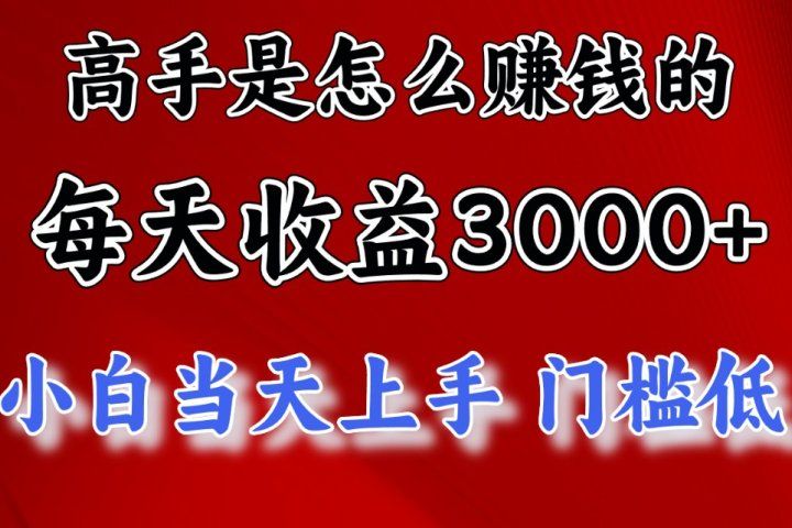 高手是怎么赚钱的，一天收益3000+ 这是穷人逆风翻盘的一个项目，非常稳网创吧-网创项目资源站-副业项目-创业项目-搞钱项目网创吧