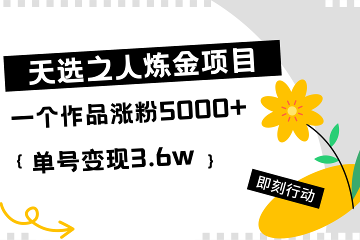 天选之人炼金项目，一个作品涨粉5000+，单号变现3.6w网创吧-网创项目资源站-副业项目-创业项目-搞钱项目网创吧