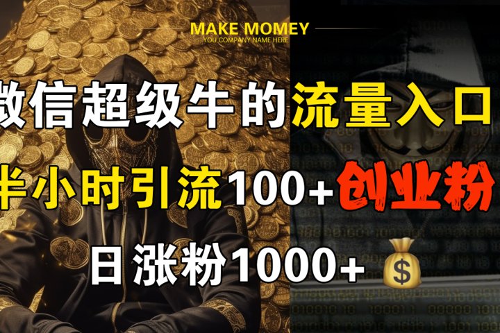 微信超级牛的流量入口，半小时引流100+创业粉，日涨粉1000+网创吧-网创项目资源站-副业项目-创业项目-搞钱项目网创吧