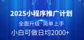 2025小程序推广计划，全面升级，简单上手，日均2000+网创吧-网创项目资源站-副业项目-创业项目-搞钱项目网创吧