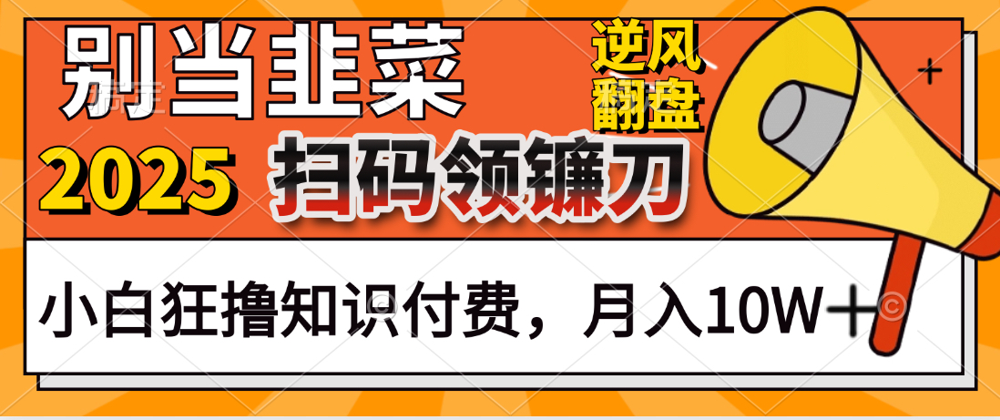 2025别当韭菜！扫码领镰刀！小白狂撸知识付费月入10W+网创吧-网创项目资源站-副业项目-创业项目-搞钱项目网创吧